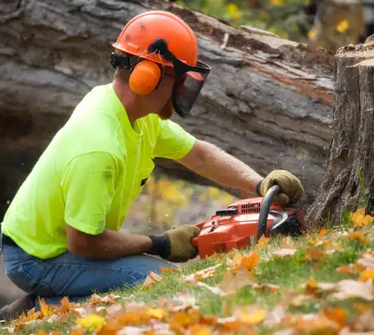 tree services Salineville